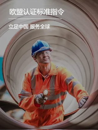 标准指令