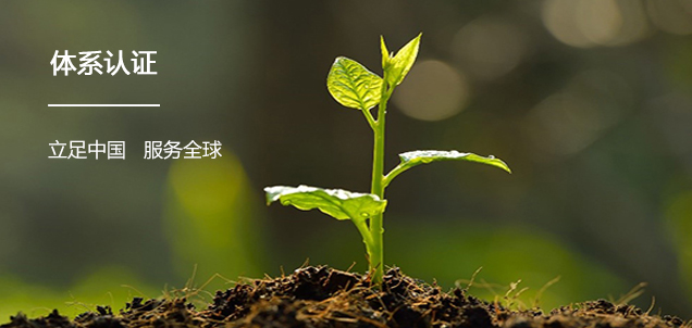 体系认证